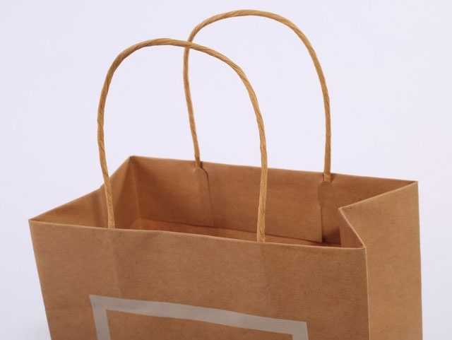 手提袋(dài)/紙袋